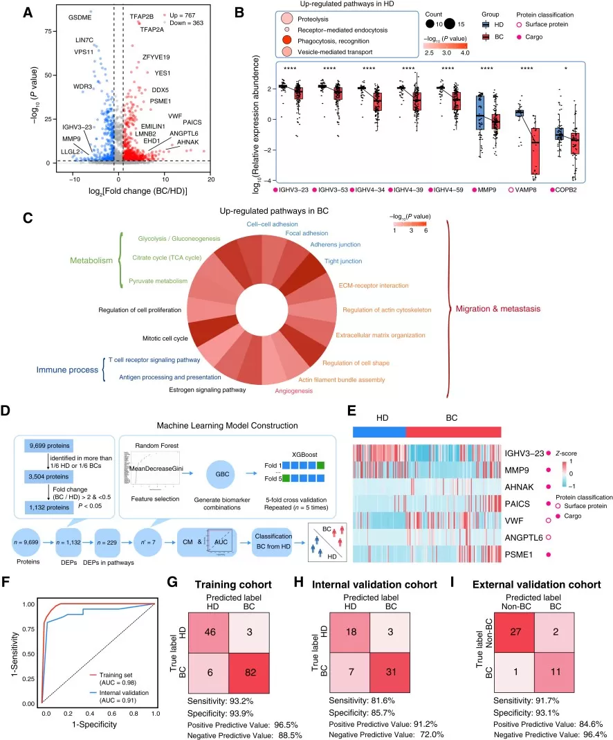 Proteomic profiling of serum extracellular vesicles in breast cancer for therapeutic target discovery